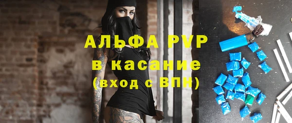 шишки Арсеньев