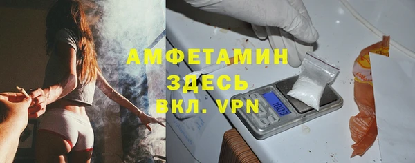 шишки Арсеньев