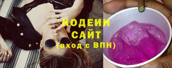 шишки Арсеньев
