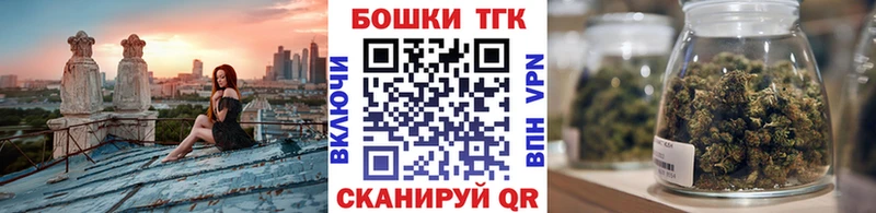 где можно купить наркотик  Магас  Каннабис сатива 